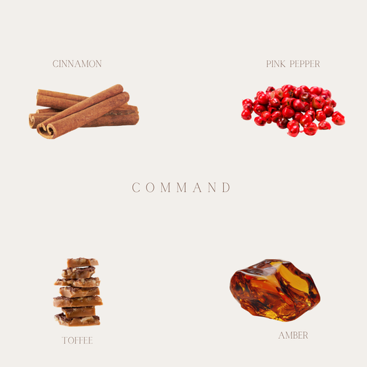 ZAYA COMMAND