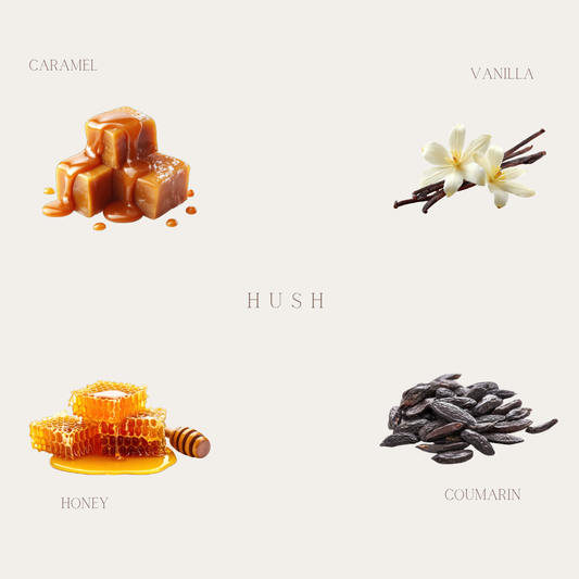 ZAYA HUSH