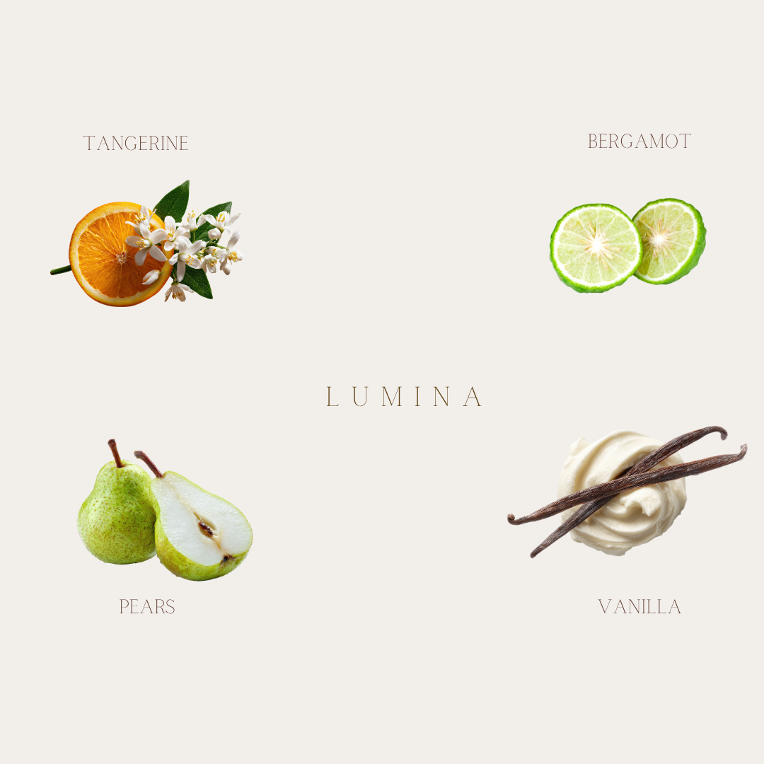 ZAYA LUMINA